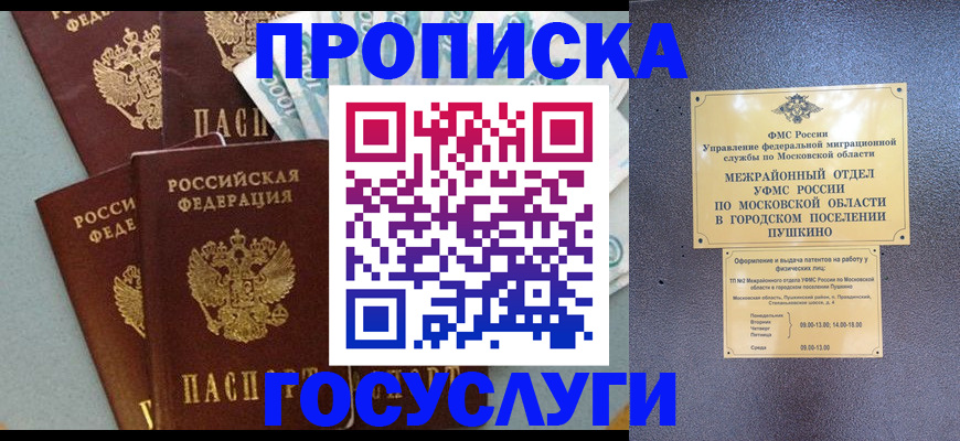 прописка гарантия в Высоковске